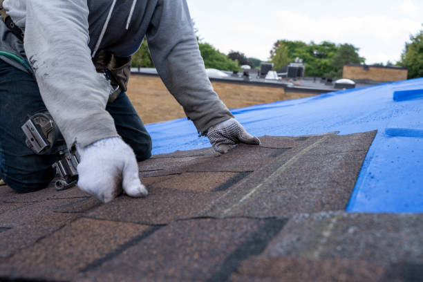 Best Local Roofing Companies  in Collinsville, TX